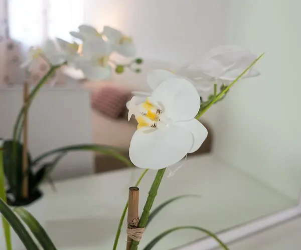 招待所 Backpackers House 威尼斯