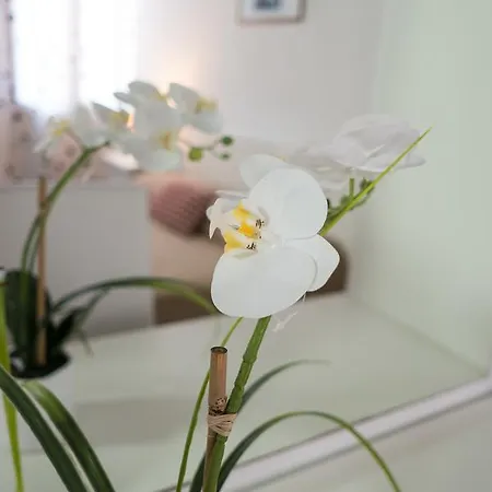 Гостевой дом Backpackers House Венеция