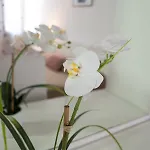 Affittacamere Backpackers House Venezia